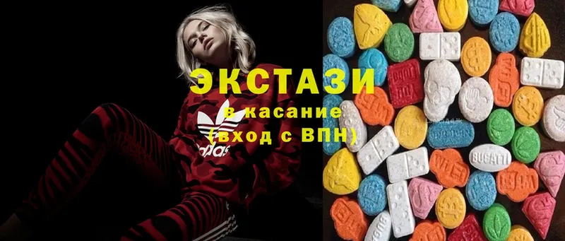 где купить   Ивангород  ЭКСТАЗИ Philipp Plein 